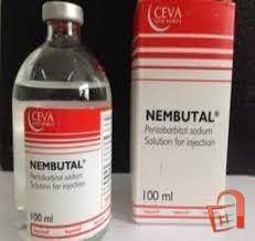 Nembutal Pentobarbital Sodium liquid